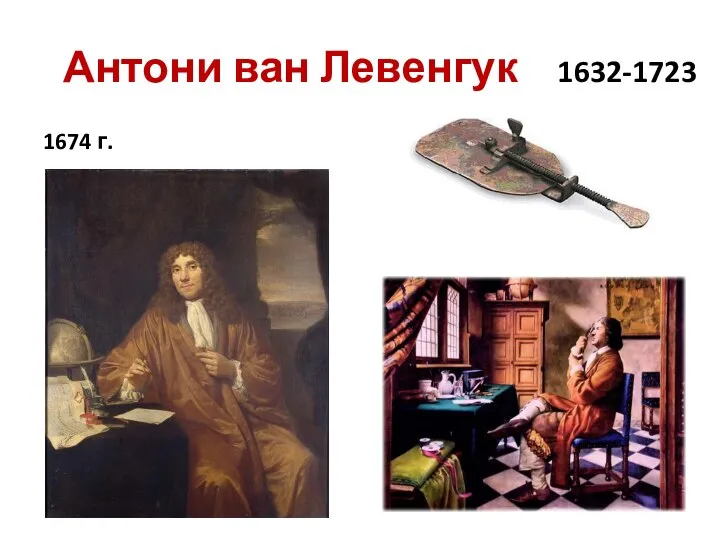 Антони ван Левенгук 1632-1723 1674 г.