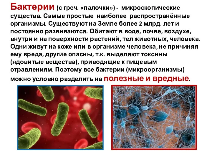 Бактерии (с греч. «палочки») - микроскопические существа. Самые простые наиболее распространённые организмы.