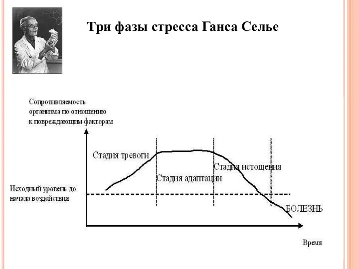 Три фазы стресса Ганса Селье