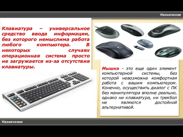 Назначение Назначение Клавиатура – универсальное средство ввода информации, без которого немыслима работа