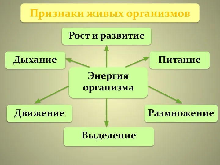 Признаки живых организмов Энергия организма Движение Выделение Размножение Питание Рост и развитие Дыхание