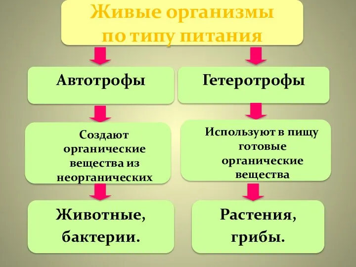 Живые организмы по типу питания Автотрофы Гетеротрофы Создают органические вещества из неорганических