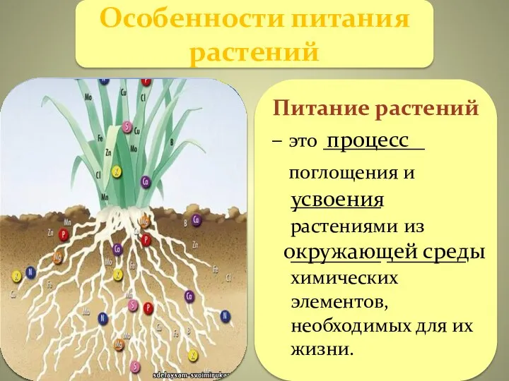 Питание растений – это _________ поглощения и ________ растениями из ________ _______