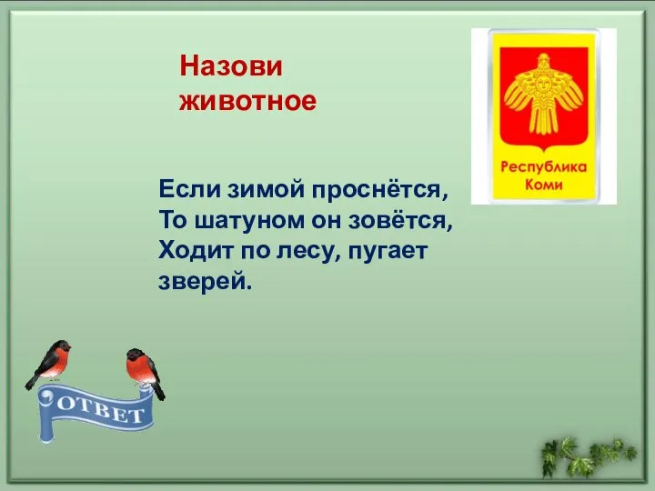 Если зимой проснётся, То шатуном он зовётся, Ходит по лесу, пугает зверей. Назови животное