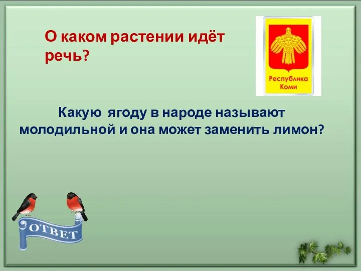 Какую ягоду в народе называют молодильной и она может заменить лимон? О каком растении идёт речь?