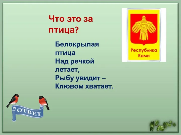 Белокрылая птица Над речкой летает, Рыбу увидит – Клювом хватает. Что это за птица?