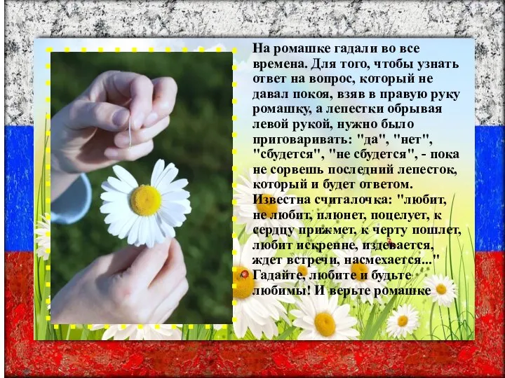 На ромашке гадали во все времена. Для того, чтобы узнать ответ на