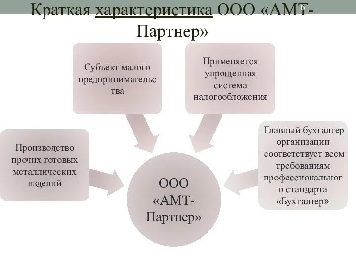 Краткая характеристика ООО «АМТ-Партнер»