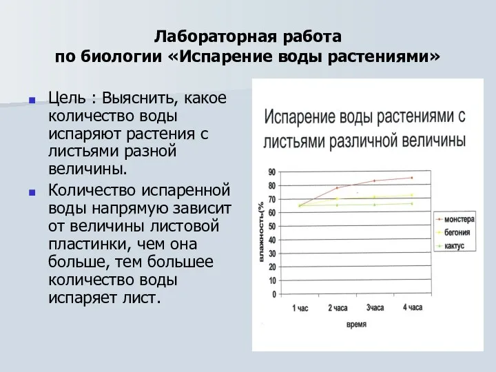 Лабораторная работа по биологии «Испарение воды растениями» Цель : Выяснить, какое количество