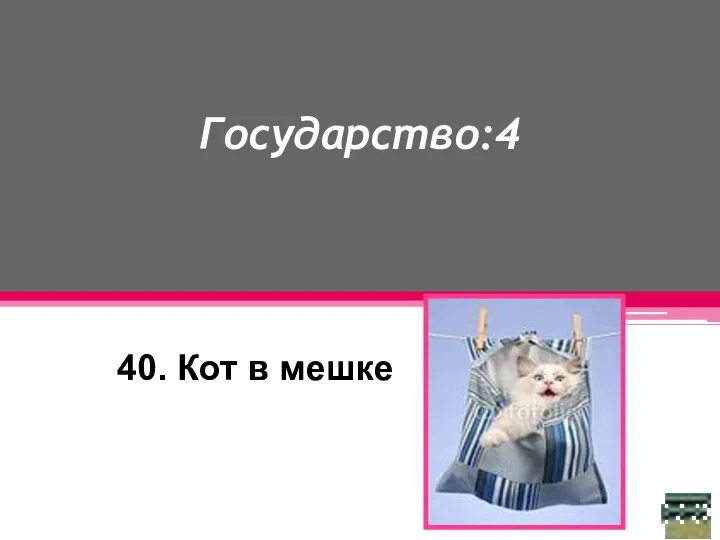 Государство:4 40. Кот в мешке