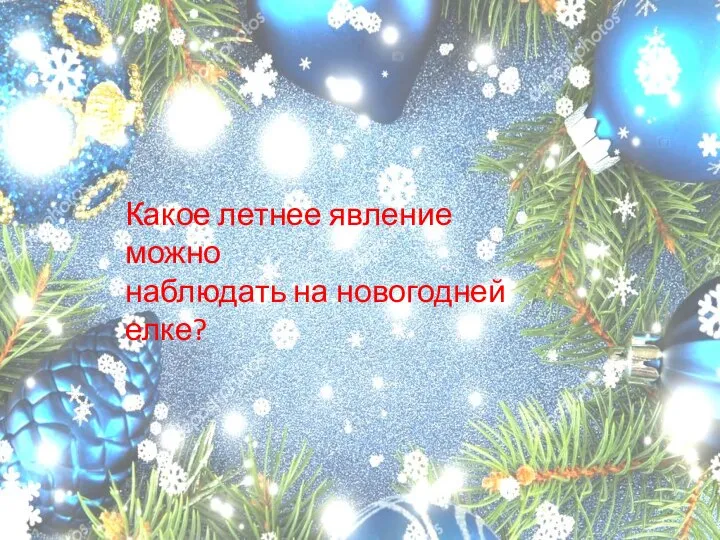 Какое летнее явление можно наблюдать на новогодней елке?