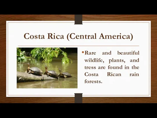 Costa Rica (Central America) Rare and beautiful wildlife, plants, and tress are