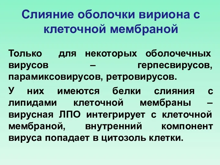 Слияние оболочки вириона с клеточной мембраной Только для некоторых оболочечных вирусов –