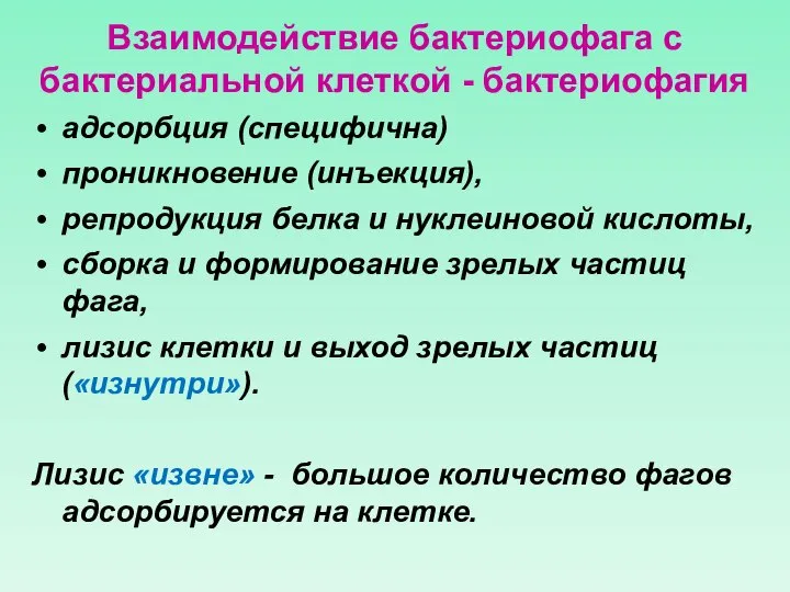 Взаимодействие бактериофага с бактериальной клеткой - бактериофагия адсорбция (специфична) проникновение (инъекция), репродукция