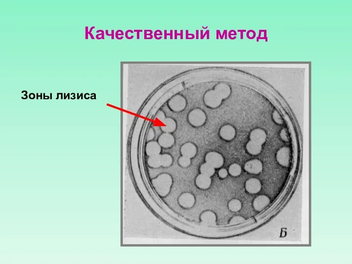 Качественный метод Зоны лизиса