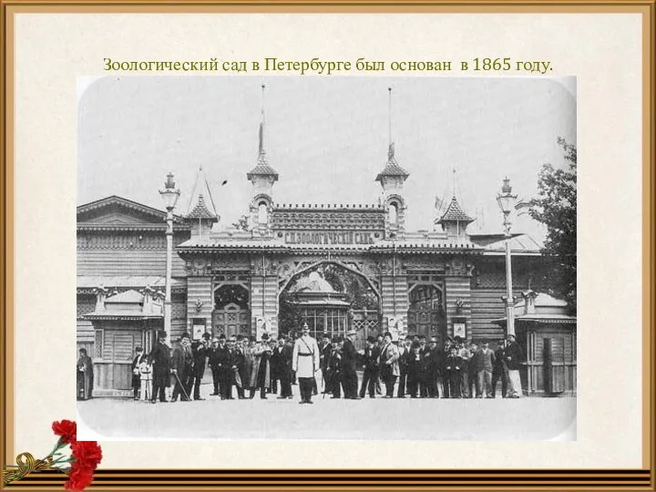 Зоологический сад в Петербурге был основан в 1865 году.