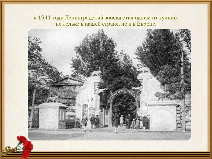 к 1941 году Ленинградский зоосад стал одним из лучших не только в