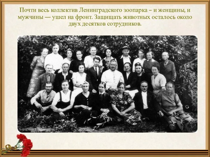 Почти весь коллектив Ленинградского зоопарка – и женщины, и мужчины — ушел