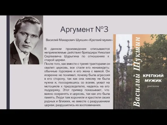 Аргумент №3 В данном произведении описываются неприемлемые действия бригадира Николая Сергеевича Шурыгина