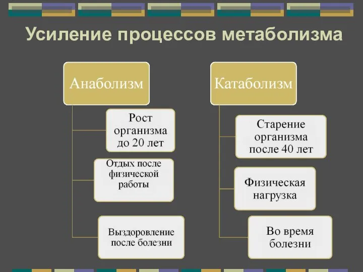 Усиление процессов метаболизма