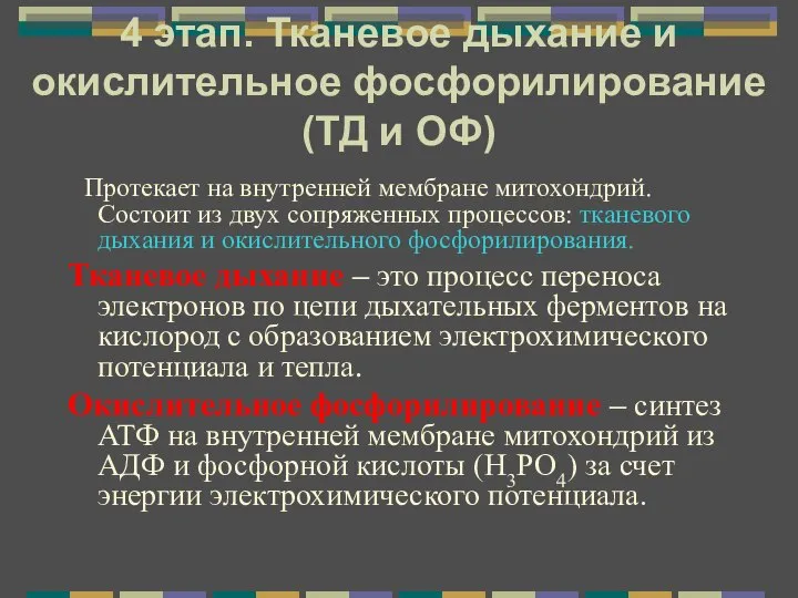 4 этап. Тканевое дыхание и окислительное фосфорилирование (ТД и ОФ) Протекает на