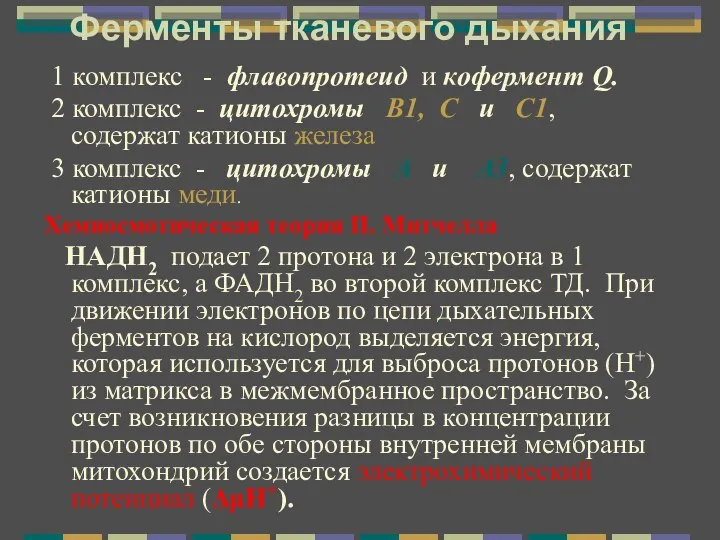 Ферменты тканевого дыхания 1 комплекс - флавопротеид и кофермент Q. 2 комплекс