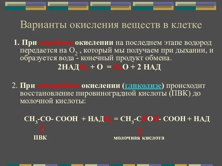 Варианты окисления веществ в клетке 1. При аэробном окислении на последнем этапе