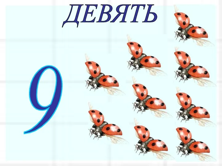 9 ДЕВЯТЬ