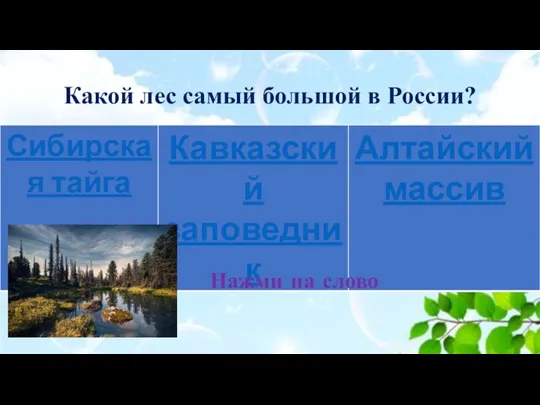Какой лес самый большой в России? Нажми на слово