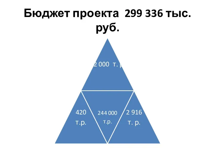 Бюджет проекта 299 336 тыс. руб.