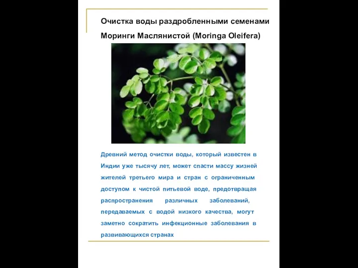 Древний метод очистки воды, который известен в Индии уже тысячу лет, может