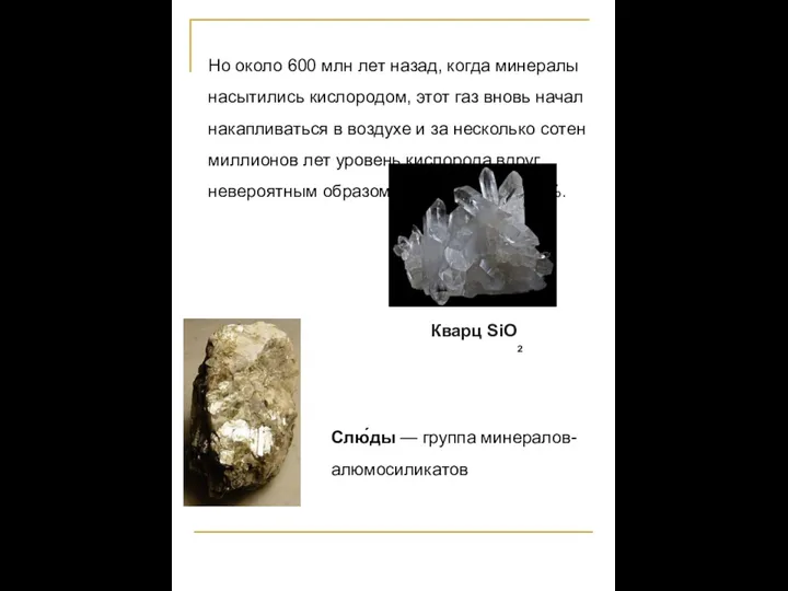 Но около 600 млн лет назад, когда минералы насытились кислородом, этот газ