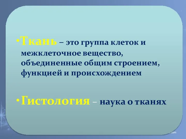 Ткань – это группа клеток и межклеточное вещество, объединенные общим строением, функцией