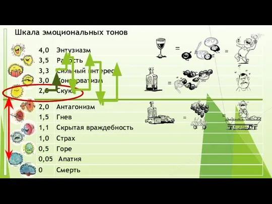 Шкала эмоциональных тонов