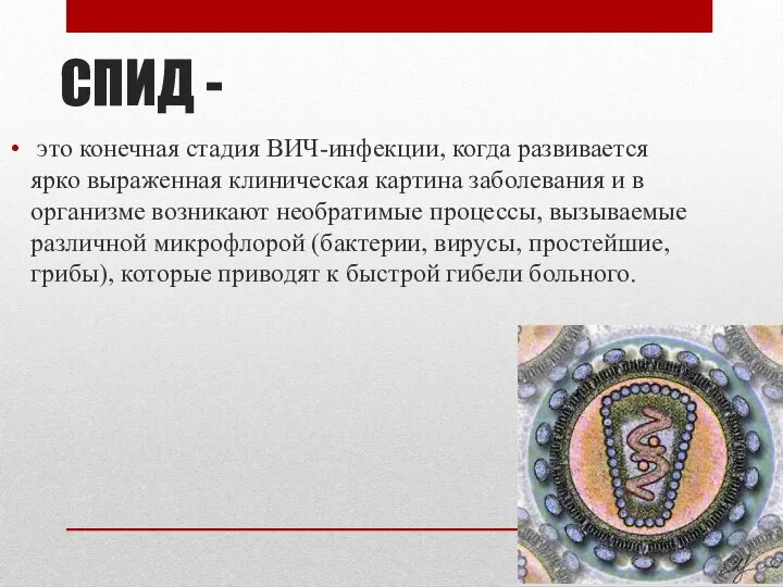 СПИД - это конечная стадия ВИЧ-инфекции, когда развивается ярко выраженная клиническая картина