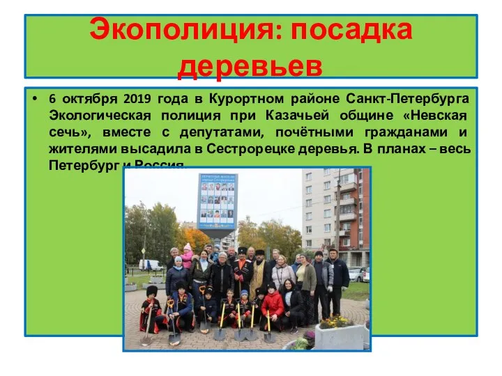 Экополиция: посадка деревьев 6 октября 2019 года в Курортном районе Санкт-Петербурга Экологическая
