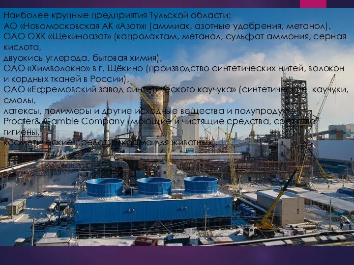 Наиболее крупные предприятия Тульской области: АО «Новомосковская АК «Азот»» (аммиак, азотные удобрения,