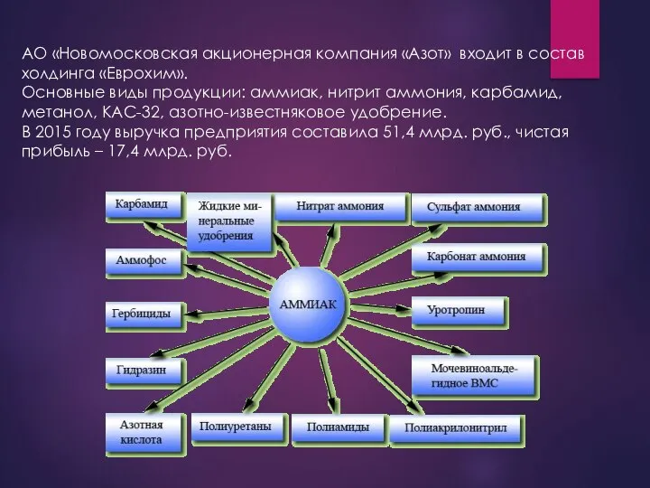 АО «Новомосковская акционерная компания «Азот» входит в состав холдинга «Еврохим». Основные виды