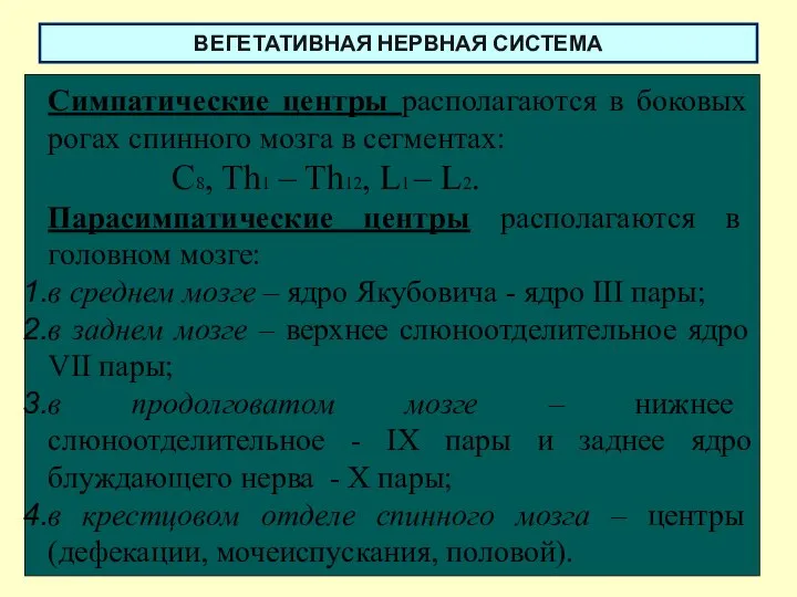 ВЕГЕТАТИВНАЯ НЕРВНАЯ СИСТЕМА Симпатические центры располагаются в боковых рогах спинного мозга в