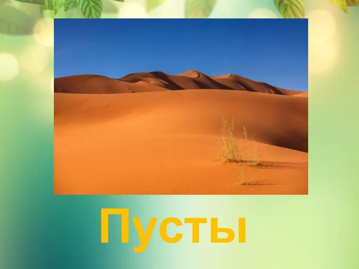 Пустыня