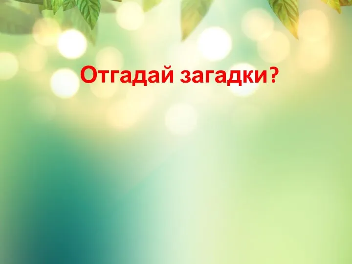 Отгадай загадки?