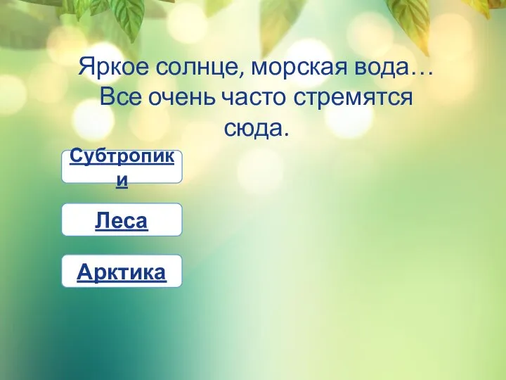Леса Субтропики Арктика Яркое солнце, морская вода… Все очень часто стремятся сюда.