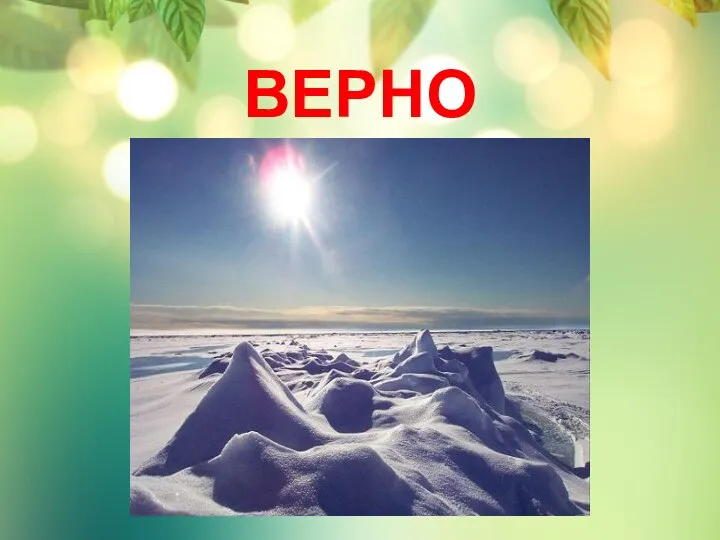 ВЕРНО АРКТИКА!