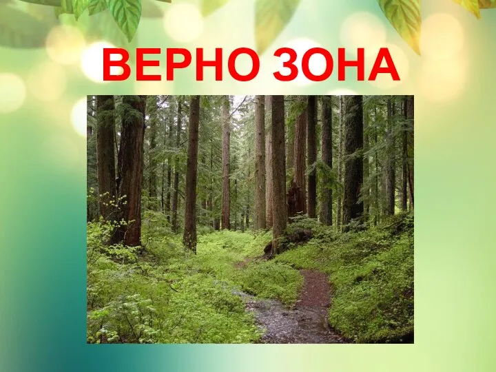 ВЕРНО ЗОНА ЛЕСОВ!