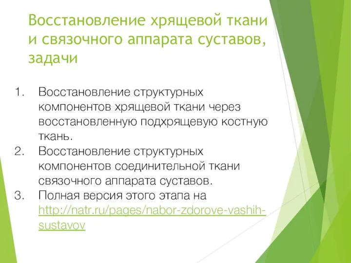 Восстановление хрящевой ткани и связочного аппарата суставов, задачи Восстановление структурных компонентов хрящевой