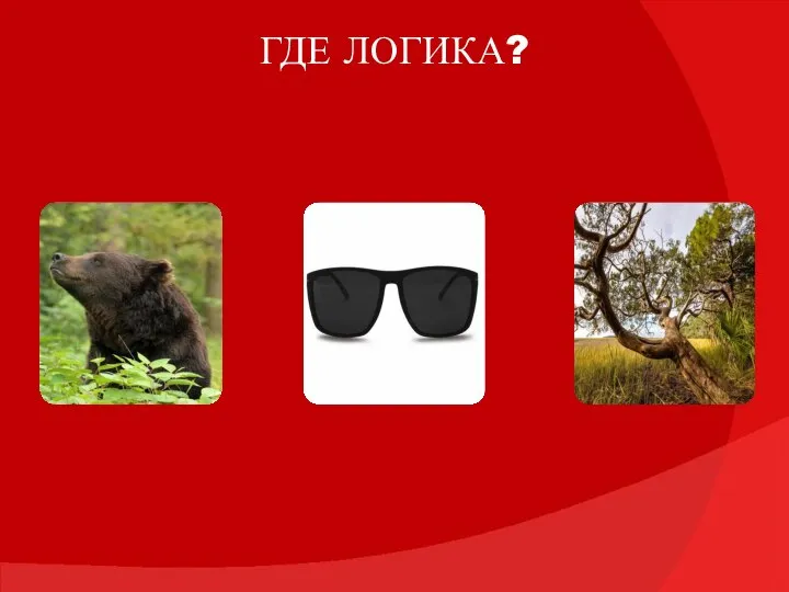 ГДЕ ЛОГИКА?