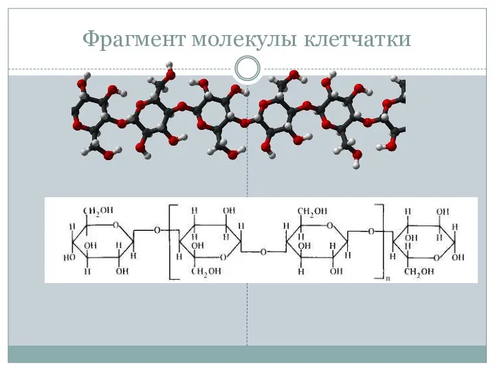 Фрагмент молекулы клетчатки