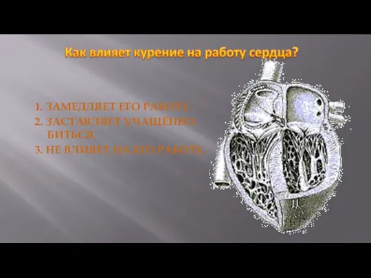 1. ЗАМЕДЛЯЕТ ЕГО РАБОТУ. 2. ЗАСТАВЛЯЕТ УЧАЩЁННО БИТЬСЯ. 3. НЕ ВЛИЯЕТ НА ЕГО РАБОТУ.