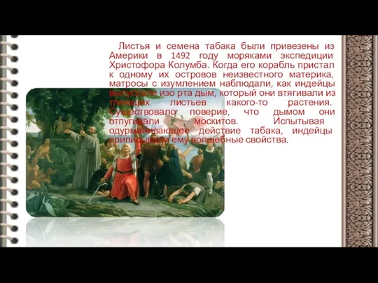 Листья и семена табака были привезены из Америки в 1492 году моряками