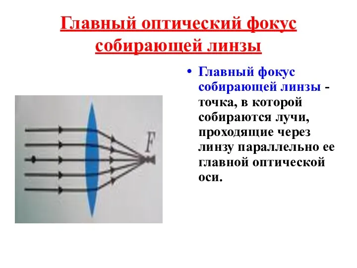 Главный оптический фокус собирающей линзы Главный фокус собирающей линзы - точка, в